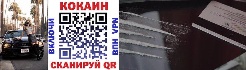 COCAIN Fish Scale  Купить где  Луза 