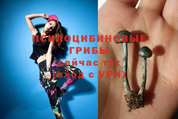 гашиш Снежногорск