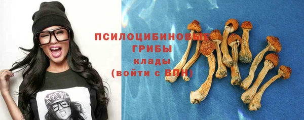 гашиш Снежногорск